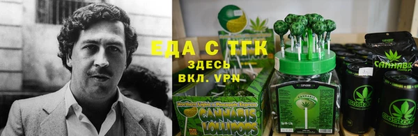 гидропоника Алзамай