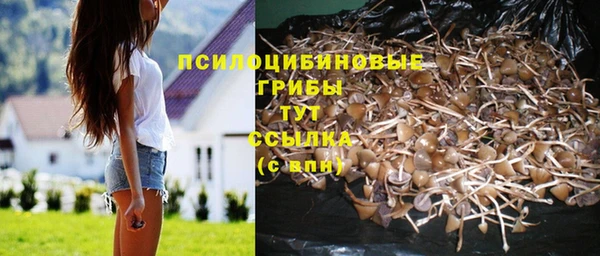 гашик Абдулино