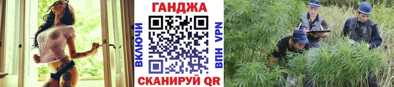где найти   Новоаннинский  Канабис индика 